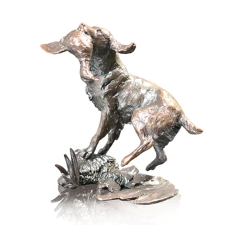 Springer Spanial Retrieving