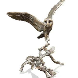 Barn Owl with Acorns