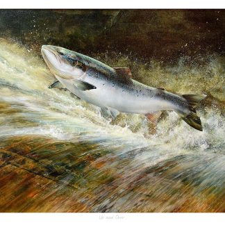 A fish leaping out of the water with splashes around it, against a dark background. By Chris Sharp