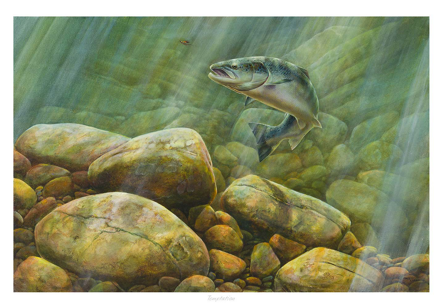 A painting of a fish leaping above colorful underwater rocks against streaming light through water. By Chris Sharp