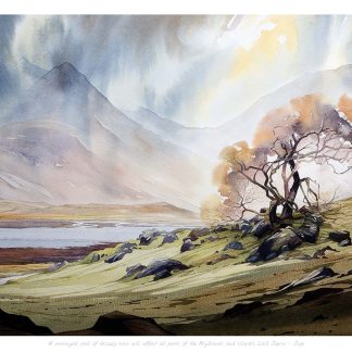 A watercolor painting of a solitary tree with autumn leaves against a backdrop of mountains and a lake under a dramatic sky. By Peter Mcdermott