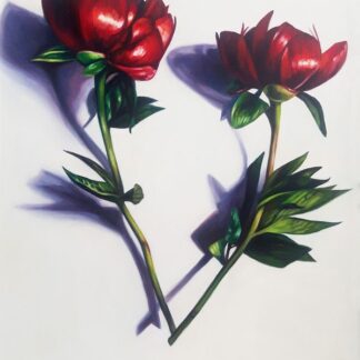 The image displays a painting of two red flowers with prominent green leaves casting a shadow on a light background. By Charlotte Strawbridge