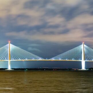 Illuminated suspension bridge in Charleston, SC at night