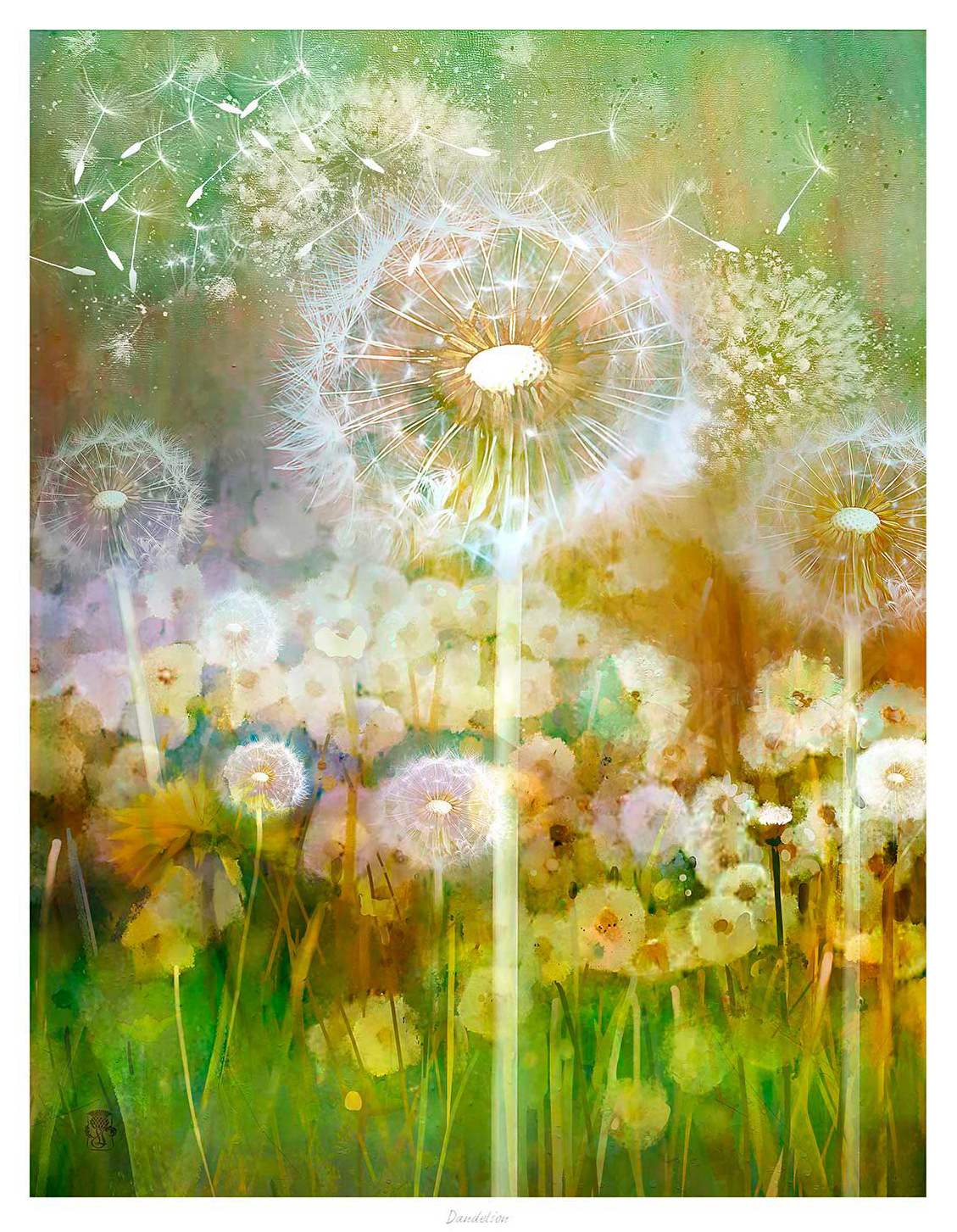 The image depicts a stylized artistic rendering of a field of dandelions with several seed heads dispersing in the breeze. By Lee Scammacca